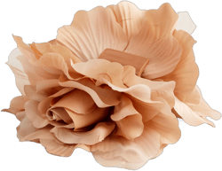Maryam Nassir Zadeh X J.Crew Flower Hair Clip For Women