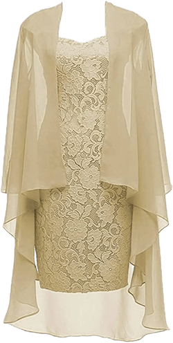 dannifore Column 34 Sleeves Lace Chiffon Short Wedding Mother Evening Dresses Formal Champagne Size 24W : Clothing, Shoes & Jewelry