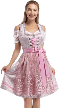 Women's German Dirndl Dress Costumes 2 Pieces for Oktoberfest Carnival S