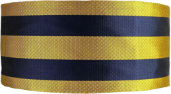 Princess of Wales's Royal Regiment Silk Non Crease Cummerbund