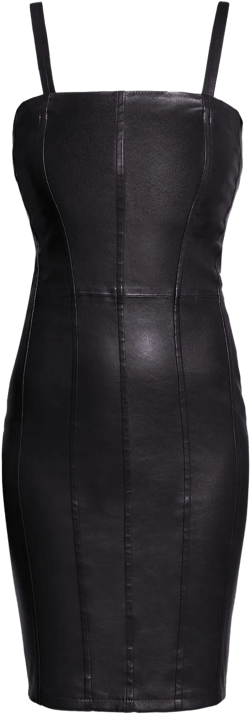 Revenge Stretch Leather Dress | Black