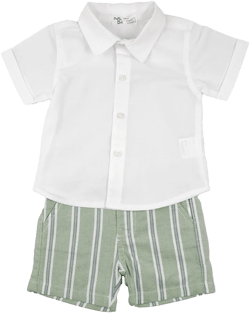 Apple Green Striped Shorts And Shirt 3733