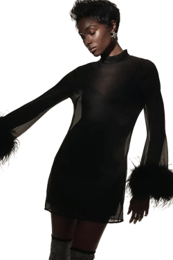 Hutch Long-Sleeve Turtleneck Faux-Feather Trim Sheer Mini Dress