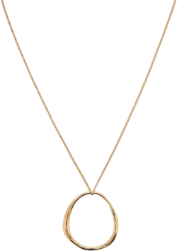 Hoop Pendant Necklace