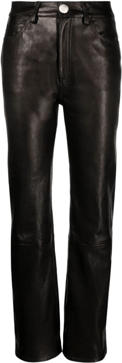 The Danielle leather trousers
