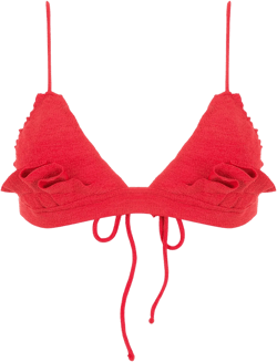 Winni ruffle-embellished bikini top