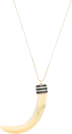 horn-pendant necklace