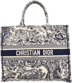 2010s Dior Book Tote bag