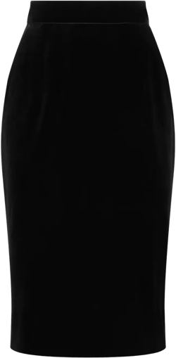 velvet skirt