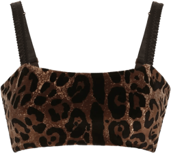 leopard-print sleeveless crop top