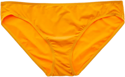 The Bikini Bottom In Nocolor