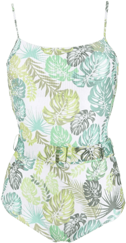 Palm Leaf Print Belted Swimsuit In Green