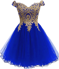 Dydsz Off Shoulder Appliques Prom Dresses for Women Short Homecoming Dresses for Teens A Line Tulle Cocktail Dress : Clothing, Shoes & Jewelry