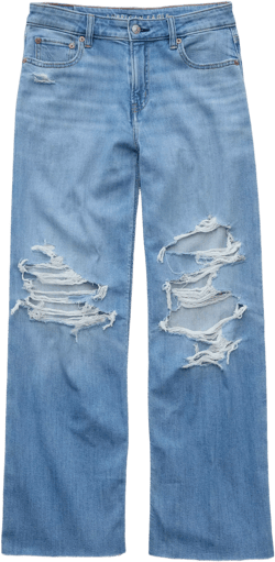 AE Dreamy Drape Stretch Ripped Low-Rise Baggy Wide-Leg Jean