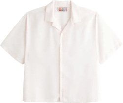 Pride Camp Collar Cropped Sheer Shirt