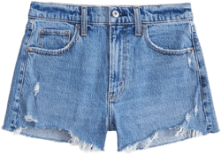 High Rise Mom Short
