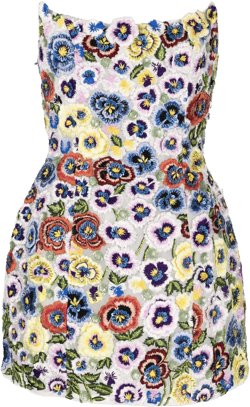 Camden floral-appliqué minidress