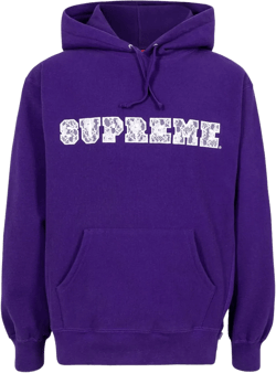 lace logo hoodie