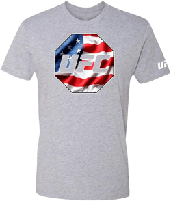 UFC Mens USA Country Flag Graphic T-Shirt, Grey, X-Large