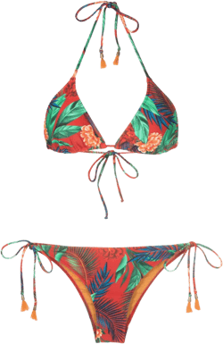 Maya botanical-print triangle bikini