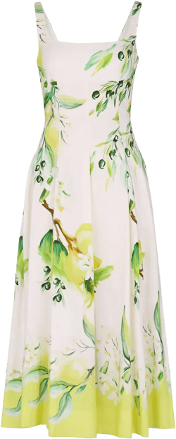 Alexandra midi dress