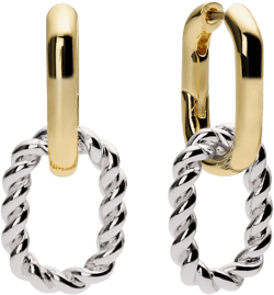 Ash Double Hoop Earrings In Metallic