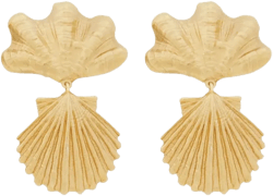 Shells earrings