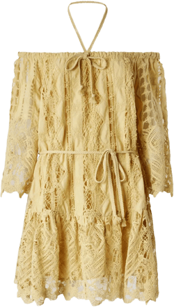 lace mini dress