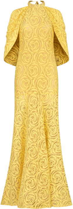 Salvina gown