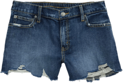 Aerie Daydream Distressed Denim Short