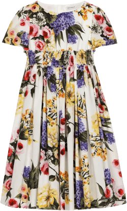 Giardino-print cotton dress