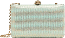 Kensington embellished clutch bag