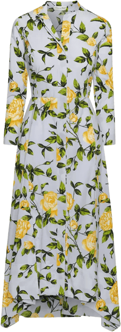 English Rose shirt dress