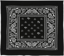 bandana-print scarf