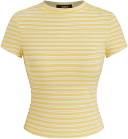 Round Neckline Stripe Short Sleeve Tee