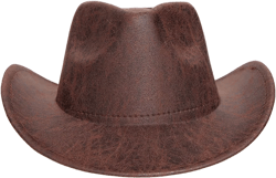 Brown PU Trim Detail Cowboy Hat