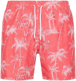 Sano 6.5" Swim Short Trunks Surf & Swim Co.