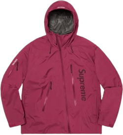 Supreme Gore-Tex Paclite Jacket