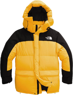 The North Face 94 Retro Himalayan Parka Winter Down Jacket Parka UNISEX Medium Summit Gold