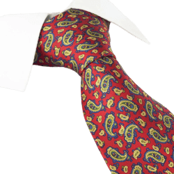 Red Paisley Printed Silk Tie