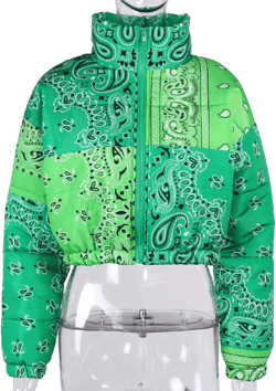 CHARTOU Women's Cute Stand Collar Paisley Quilted Puffer Crop Down Alternative Jacket Coat Large Green