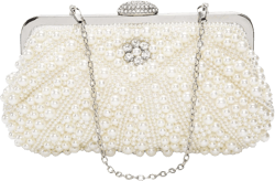 LIFEWISH Womens Pearl Evening bag Cascading Bead Rhinestone Fancy clutch purses Style P05
