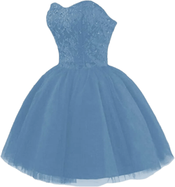 Strapless Short Tulle Homecoming Dresses for Teens Lace Prom Dresses for Women Beaded A Line Party Cocktail Dresses : Clothing, Shoes & Jewelry
