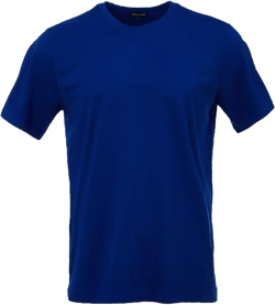 Men's Premium Cotton Crewneck T-Shirt - Short Sleeve Classic Fit Tee Medium Royal Blue