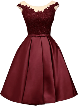 Women's Floral Lace Off Shoulder Prom Dresses Short Homecoming Dresses Backless Party Dresses for Wedding : Clothing, Shoes & Jewelry