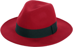 FORBUSITE Wool Felt Wide Brim Fedora Hats for Women Men