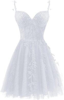 Tulle Homecoming Dresses for Teens 2024 Spaghetti Strap Lace Applique Short Prom Dress Mini Cocktail Gown 18 Plus White