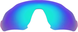 Replacement Lenses for Oakley Flight Jacket with 1 Color Green Green