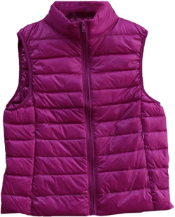 Autumn Winter Women Double Coat Sleeveless Waistcoat Ultra Light Down Vest Parka Female Short Duck Down Coat Tops XX-Large Purple