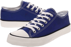 Canvas Shoes Sneakers for Women Fashion Low Top Lace Up Canvas Sneakers Classic Casual Walking Running Comfortable Non Slip Board Shoes（lan-240）